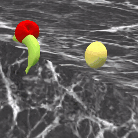 MOSIV: Multi-Object System Identification from Videos teaser